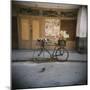 Bicycle with Flowers in Basket, Havana Centro, Havana, Cuba, West Indies, Central America-Lee Frost-Mounted Photographic Print