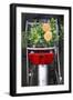 Bicycle with Flowers-Guido Cozzi-Framed Photographic Print