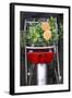 Bicycle with Flowers-Guido Cozzi-Framed Photographic Print