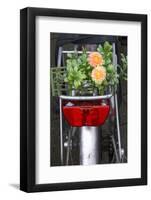 Bicycle with Flowers-Guido Cozzi-Framed Photographic Print