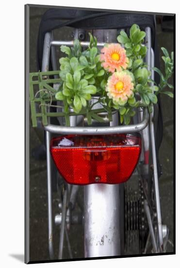 Bicycle with Flowers-Guido Cozzi-Mounted Photographic Print