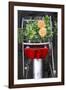 Bicycle with Flowers-Guido Cozzi-Framed Photographic Print