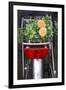 Bicycle with Flowers-Guido Cozzi-Framed Photographic Print