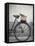Bicycle with weathered basket-Jenny Elia Pfeiffer-Framed Stretched Canvas