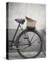 Bicycle with weathered basket-Jenny Elia Pfeiffer-Stretched Canvas