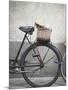 Bicycle with weathered basket-Jenny Elia Pfeiffer-Mounted Photographic Print