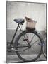 Bicycle with weathered basket-Jenny Elia Pfeiffer-Mounted Photographic Print