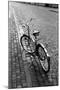 Bicycle-Walter Bibikow-Mounted Photographic Print