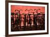 Bicycles at Centraal Station II-Erin Berzel-Framed Photographic Print