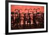 Bicycles at Centraal Station II-Erin Berzel-Framed Photographic Print