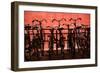 Bicycles at Centraal Station II-Erin Berzel-Framed Photographic Print