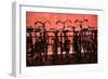 Bicycles at Centraal Station II-Erin Berzel-Framed Photographic Print