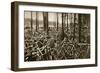 Bicycles at the Avus Racetrack in Berlin, 1931-null-Framed Giclee Print