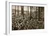 Bicycles at the Avus Racetrack in Berlin, 1931-null-Framed Giclee Print