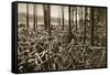 Bicycles at the Avus Racetrack in Berlin, 1931-null-Framed Stretched Canvas