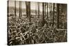 Bicycles at the Avus Racetrack in Berlin, 1931-null-Stretched Canvas