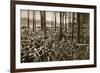 Bicycles at the Avus Racetrack in Berlin, 1931-null-Framed Giclee Print