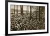 Bicycles at the Avus Racetrack in Berlin, 1931-null-Framed Giclee Print