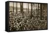 Bicycles at the Avus Racetrack in Berlin, 1931-null-Framed Stretched Canvas