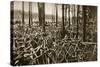 Bicycles at the Avus Racetrack in Berlin, 1931-null-Stretched Canvas