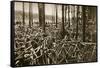 Bicycles at the Avus Racetrack in Berlin, 1931-null-Framed Stretched Canvas