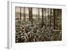 Bicycles at the Avus Racetrack in Berlin, 1931-null-Framed Giclee Print