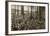 Bicycles at the Avus Racetrack in Berlin, 1931-null-Framed Giclee Print