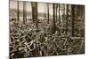 Bicycles at the Avus Racetrack in Berlin, 1931-null-Mounted Giclee Print