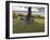 Bicycles by Tree and Couple Relaxing on the Grass, St. Pol De Leon, Carentac in Distance, Brittany-David Hughes-Framed Photographic Print