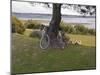 Bicycles by Tree and Couple Relaxing on the Grass, St. Pol De Leon, Carentac in Distance, Brittany-David Hughes-Mounted Photographic Print