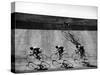 Bicycles Forming Distorted Designs on Track as Peddlers Grind Away in the 4,000 Meter Team Pursuit-Ralph Crane-Stretched Canvas