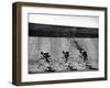 Bicycles Forming Distorted Designs on Track as Peddlers Grind Away in the 4,000 Meter Team Pursuit-Ralph Crane-Framed Photographic Print