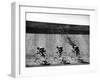 Bicycles Forming Distorted Designs on Track as Peddlers Grind Away in the 4,000 Meter Team Pursuit-Ralph Crane-Framed Photographic Print