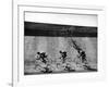 Bicycles Forming Distorted Designs on Track as Peddlers Grind Away in the 4,000 Meter Team Pursuit-Ralph Crane-Framed Photographic Print