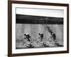 Bicycles Forming Distorted Designs on Track as Peddlers Grind Away in the 4,000 Meter Team Pursuit-Ralph Crane-Framed Photographic Print
