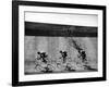 Bicycles Forming Distorted Designs on Track as Peddlers Grind Away in the 4,000 Meter Team Pursuit-Ralph Crane-Framed Photographic Print