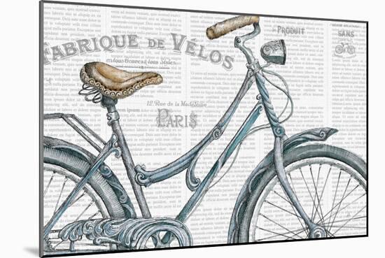 Bicycles III-Daphne Brissonnet-Mounted Art Print