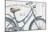 Bicycles III-Daphne Brissonnet-Mounted Art Print