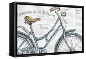 Bicycles III-Daphne Brissonnet-Framed Stretched Canvas
