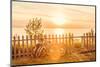 Bicycles Leaning on a Fence by the Beach-soupstock-Mounted Photographic Print