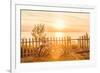 Bicycles Leaning on a Fence by the Beach-soupstock-Framed Photographic Print