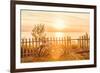 Bicycles Leaning on a Fence by the Beach-soupstock-Framed Photographic Print