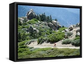Bicycling in a Fabulous Landscape-null-Framed Stretched Canvas