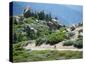 Bicycling in a Fabulous Landscape-null-Stretched Canvas