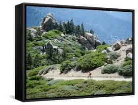 Bicycling in a Fabulous Landscape-null-Framed Stretched Canvas