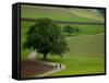 Bicycling in Basel Land, Jura Mountains, Switzerland-David Barnes-Framed Stretched Canvas