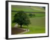 Bicycling in Basel Land, Jura Mountains, Switzerland-David Barnes-Framed Photographic Print