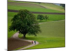 Bicycling in Basel Land, Jura Mountains, Switzerland-David Barnes-Mounted Photographic Print