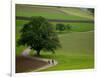 Bicycling in Basel Land, Jura Mountains, Switzerland-David Barnes-Framed Photographic Print