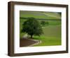 Bicycling in Basel Land, Jura Mountains, Switzerland-David Barnes-Framed Photographic Print